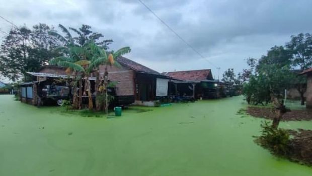 Unik, Air Banjir di Pekalongan Berwarna Hijau